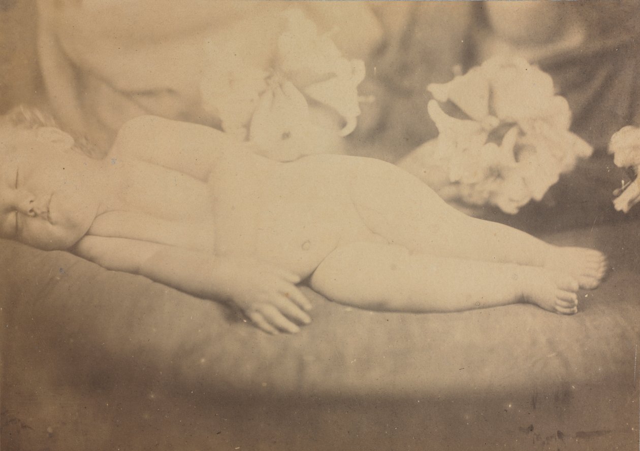 Lilia i Baranek autorstwa Julia Margaret Cameron