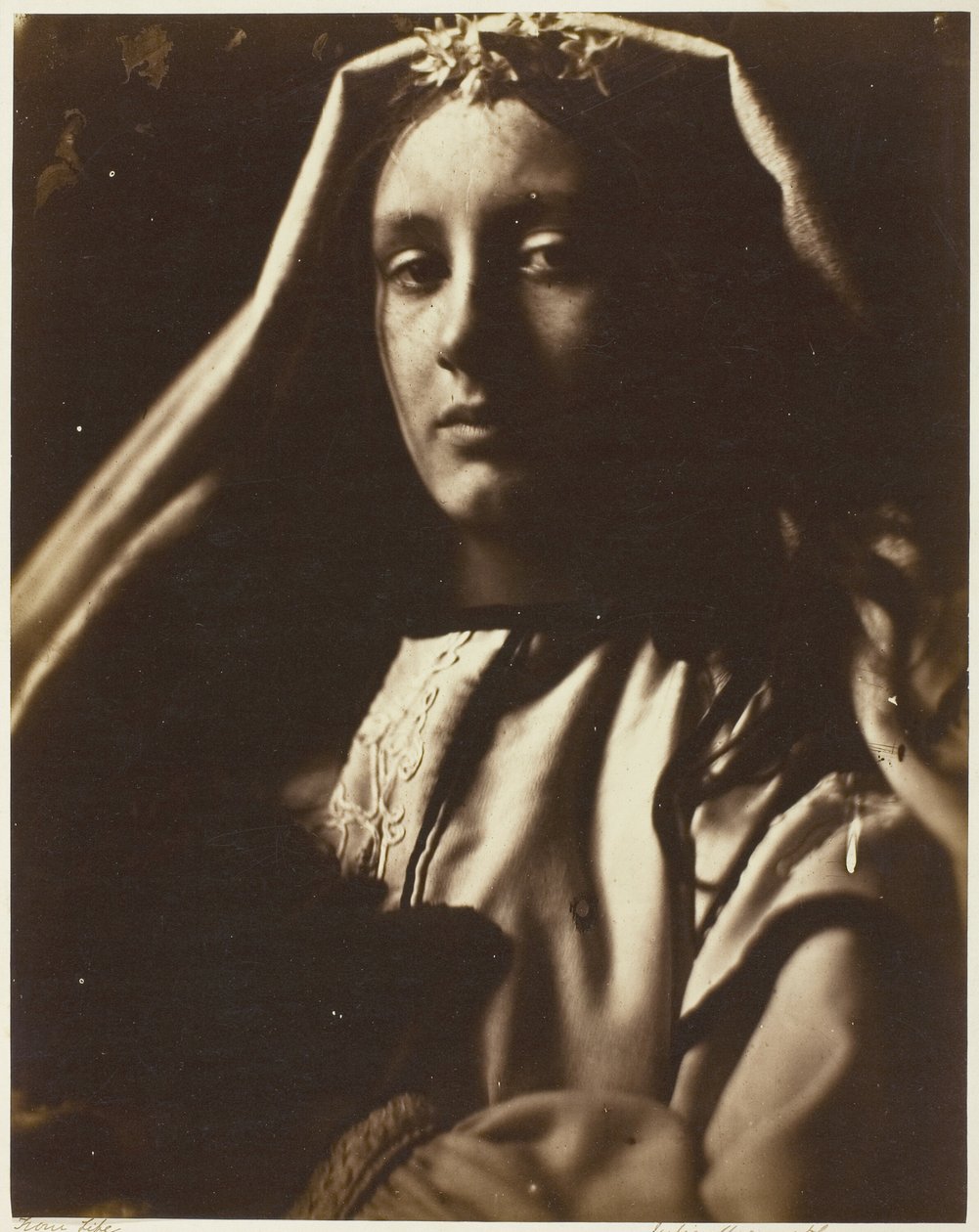 Neopolita autorstwa Julia Margaret Cameron