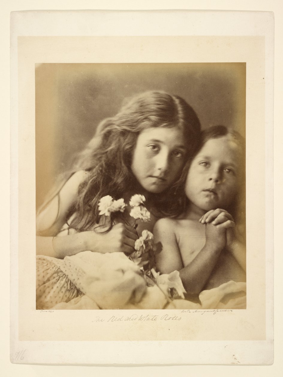 Czerwone i białe róże autorstwa Julia Margaret Cameron