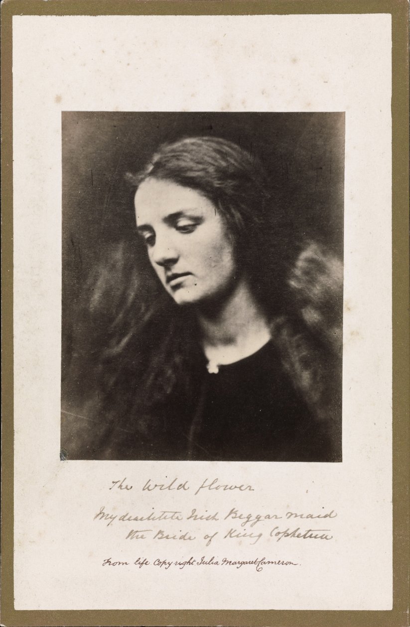 Dziki kwiat autorstwa Julia Margaret Cameron
