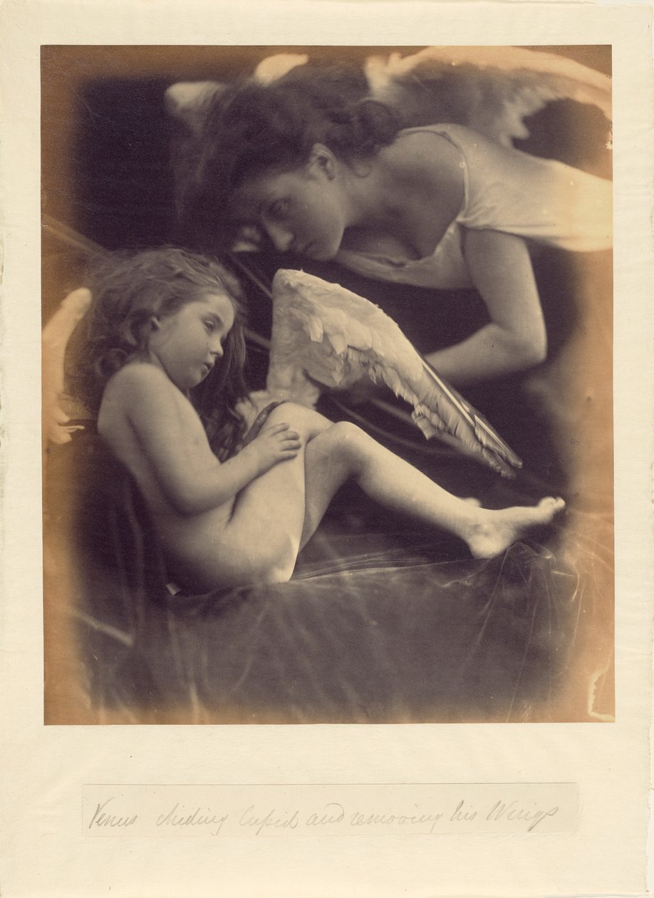 Wenus ganiąca Kupidyna i usuwająca mu skrzydła autorstwa Julia Margaret Cameron