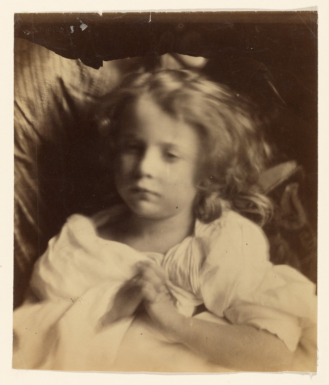 [Willin] autorstwa Julia Margaret Cameron