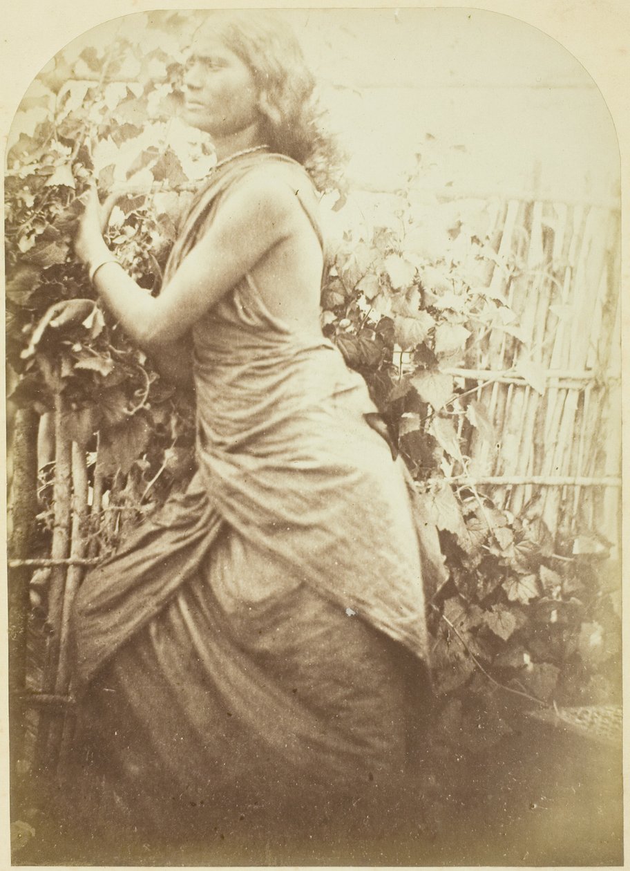 Kobieta, Cejlon autorstwa Julia Margaret Cameron