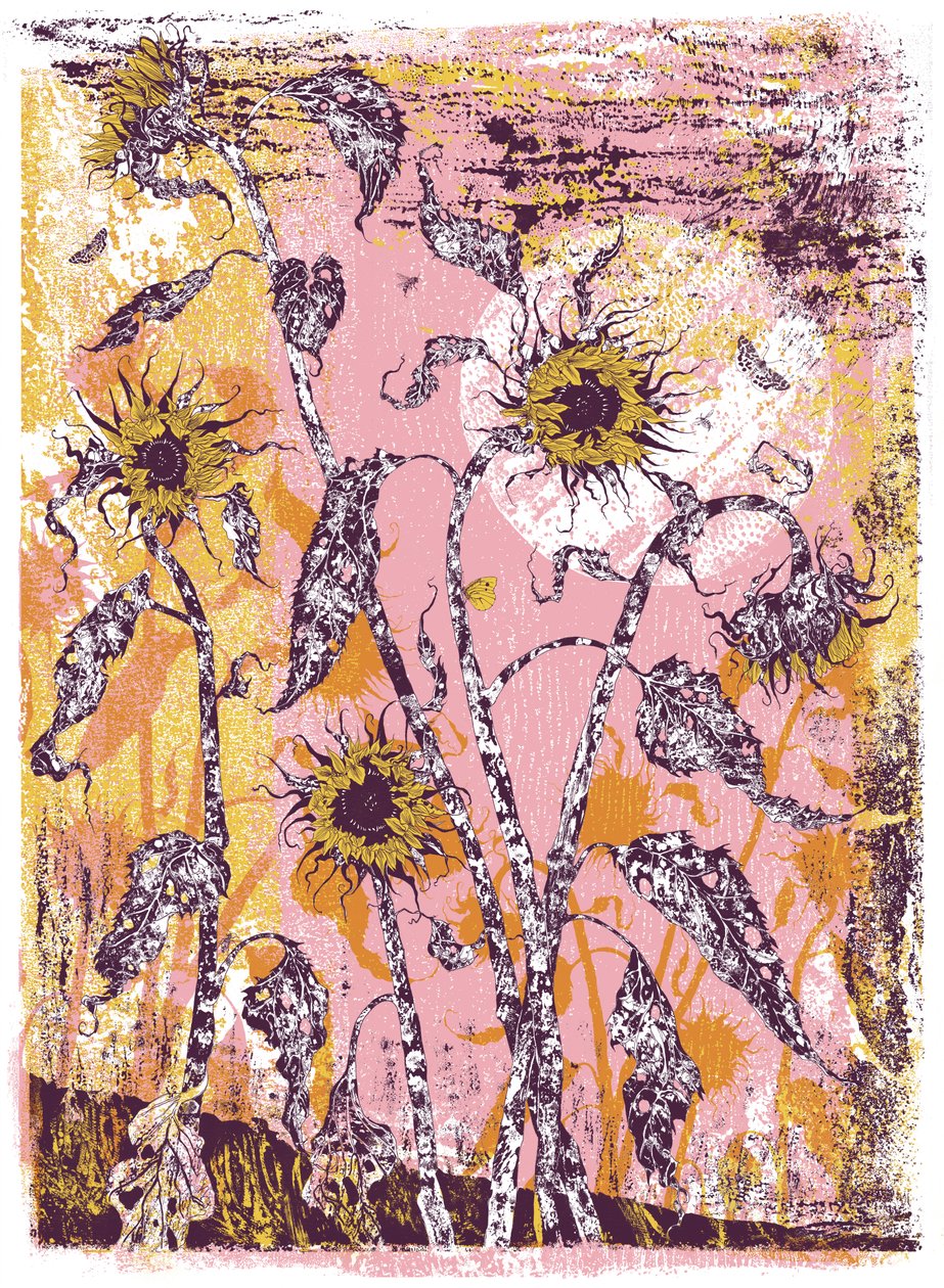 son sine sole iris, 2016 (sitodruk) autorstwa julia McKenzie