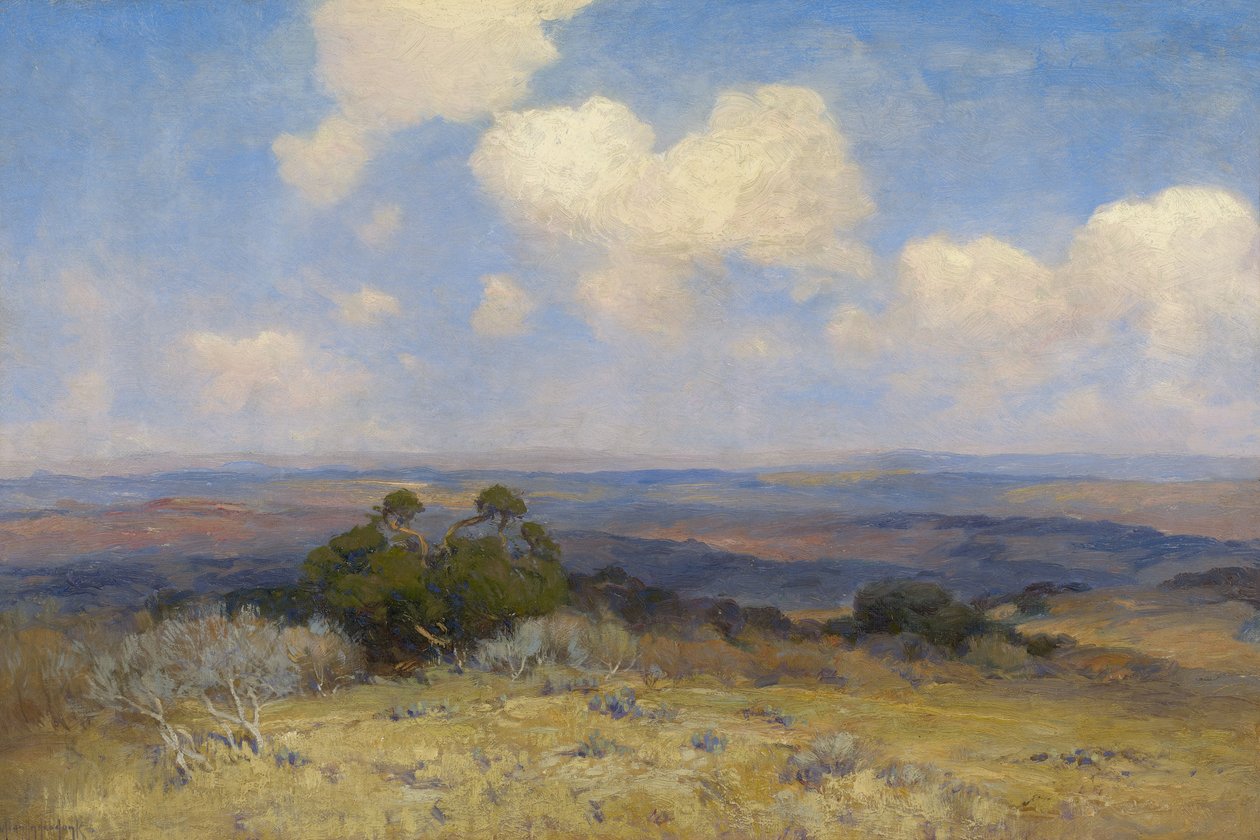 Światło słoneczne i cień, 1910 autorstwa Julian Onderdonk