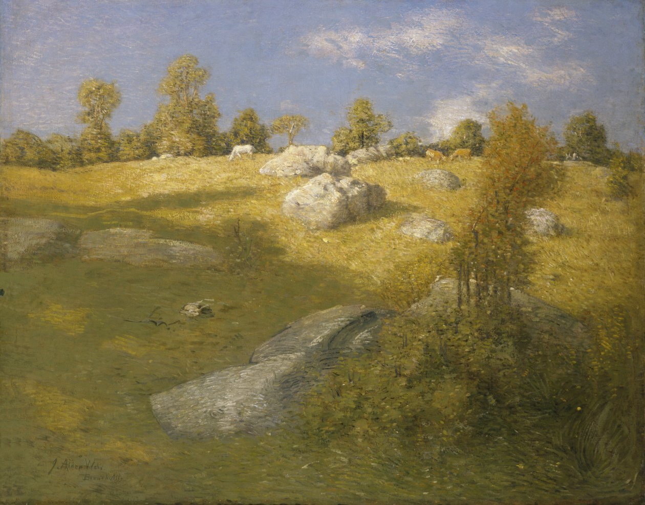 Pastwisko Wyżynne, ca. 1905. autorstwa Julian Alden Weir