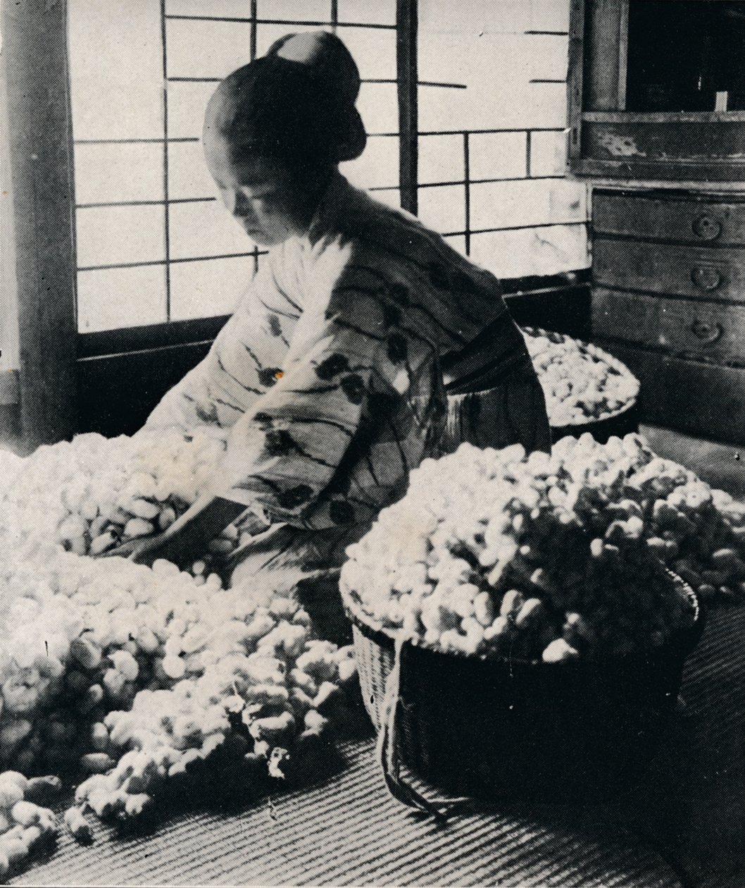 5000 jedwabników zjada 125 funtów morwy na 8 motków jedwabiu, tworząc jedno kimono, ok. 1900, 1921 autorstwa Julian Leonard Street