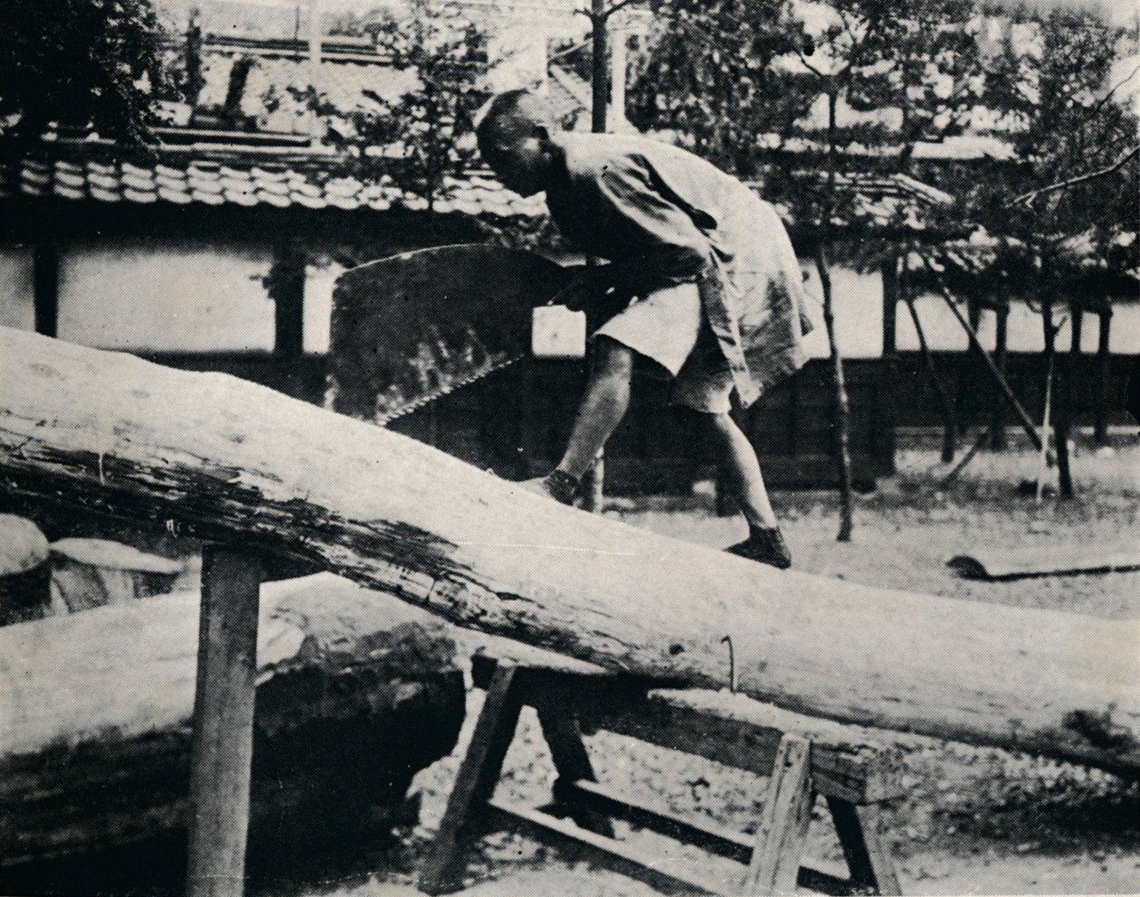Piłowanie i struganie wykonuje się za pomocą ciągnięcia zamiast ruchu napędowego, c1900, 1921 autorstwa Julian Leonard Street