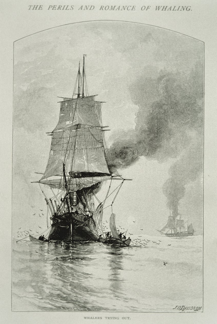 „Whalers Trying Out” (rzeźbienie wieloryba i wciąganie jego mięsa na pokład), za „Niebezpieczeństwa i romanse wielorybnictwa” w Century Magazine, sierpień 1890 (rycina) autorstwa Julian Oliver Davidson