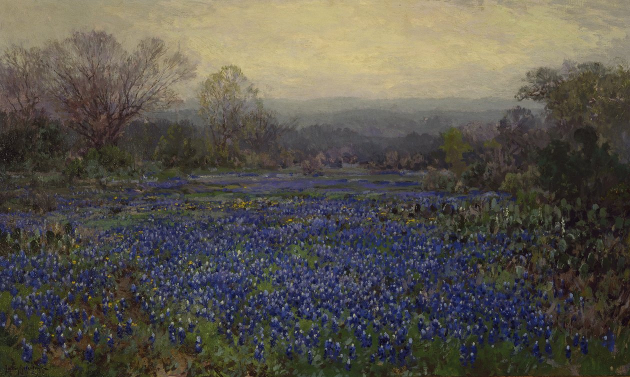 Bez tytułu - Pole Bluebonnets (olej na płótnie) autorstwa Julian Onderdonk