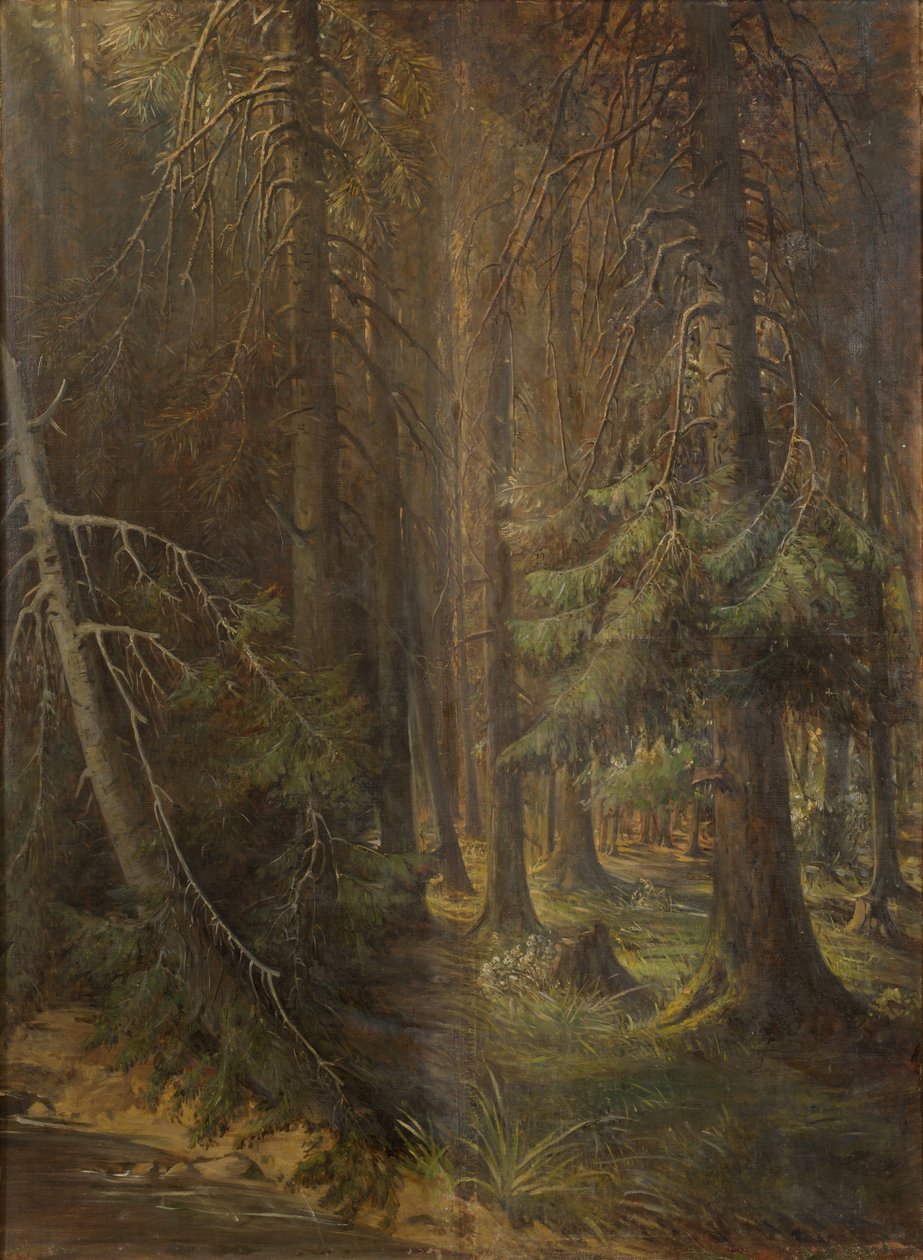 Las autorstwa Julie Wilhelmine Hagen Schwarz