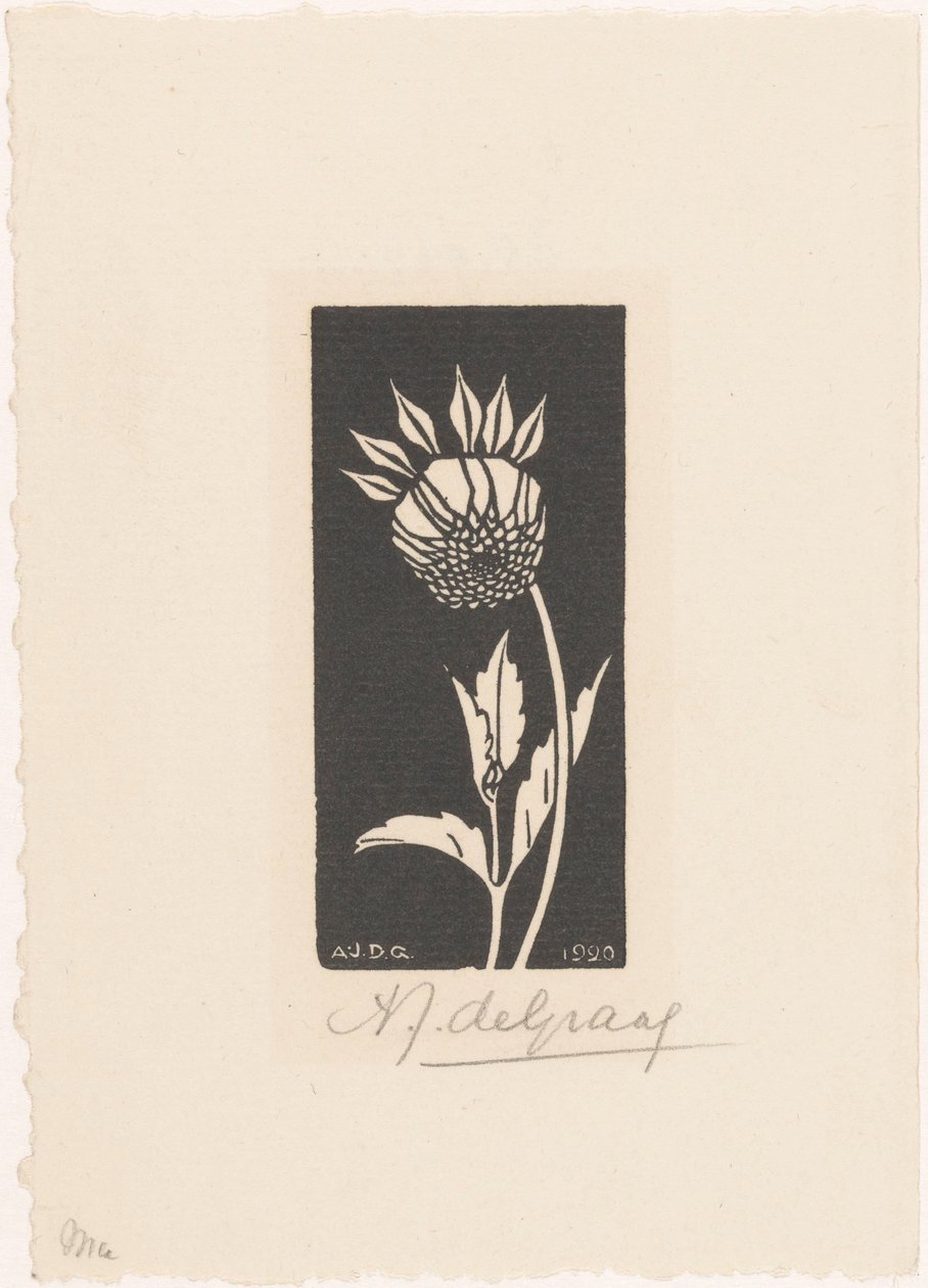 Dalia autorstwa Julie de Graag (signed by artist)