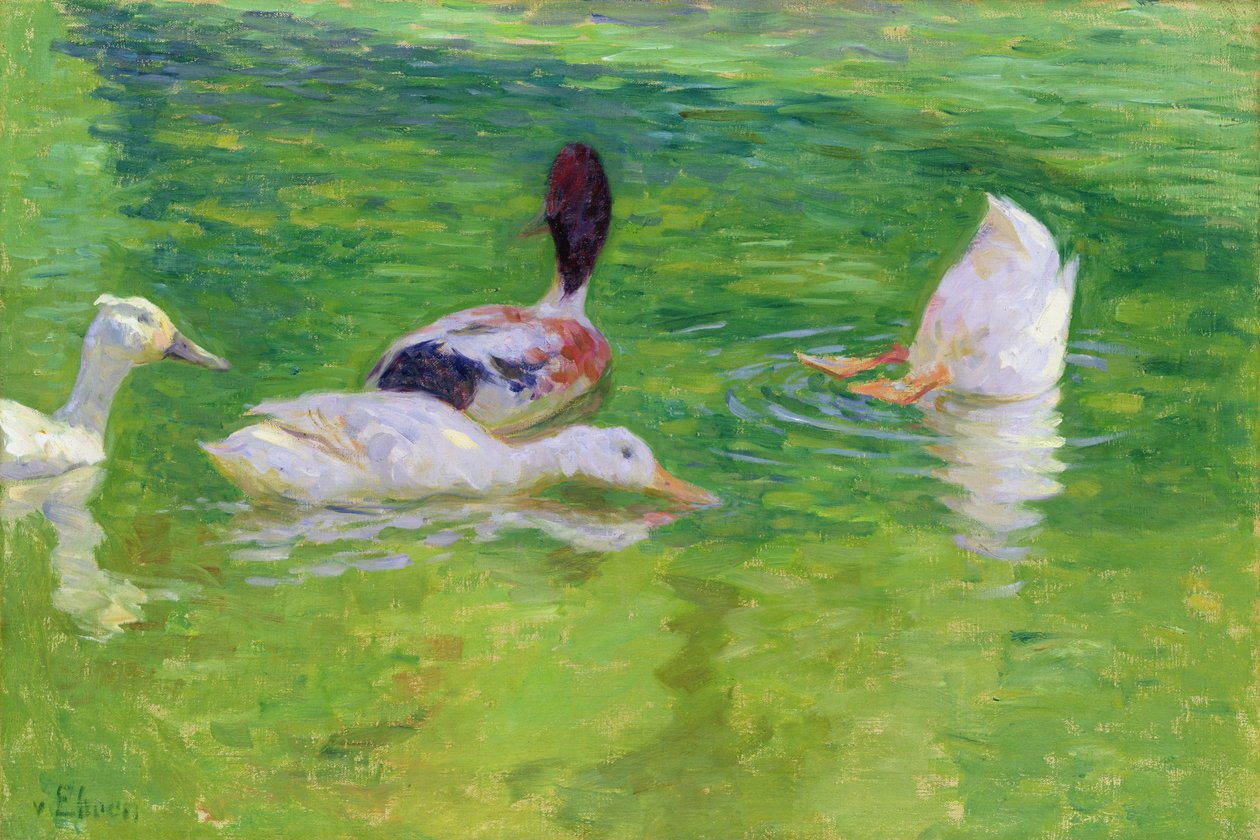 Kaczki, ok. 1897 autorstwa Julius August Friedrich Theodor von Ehren