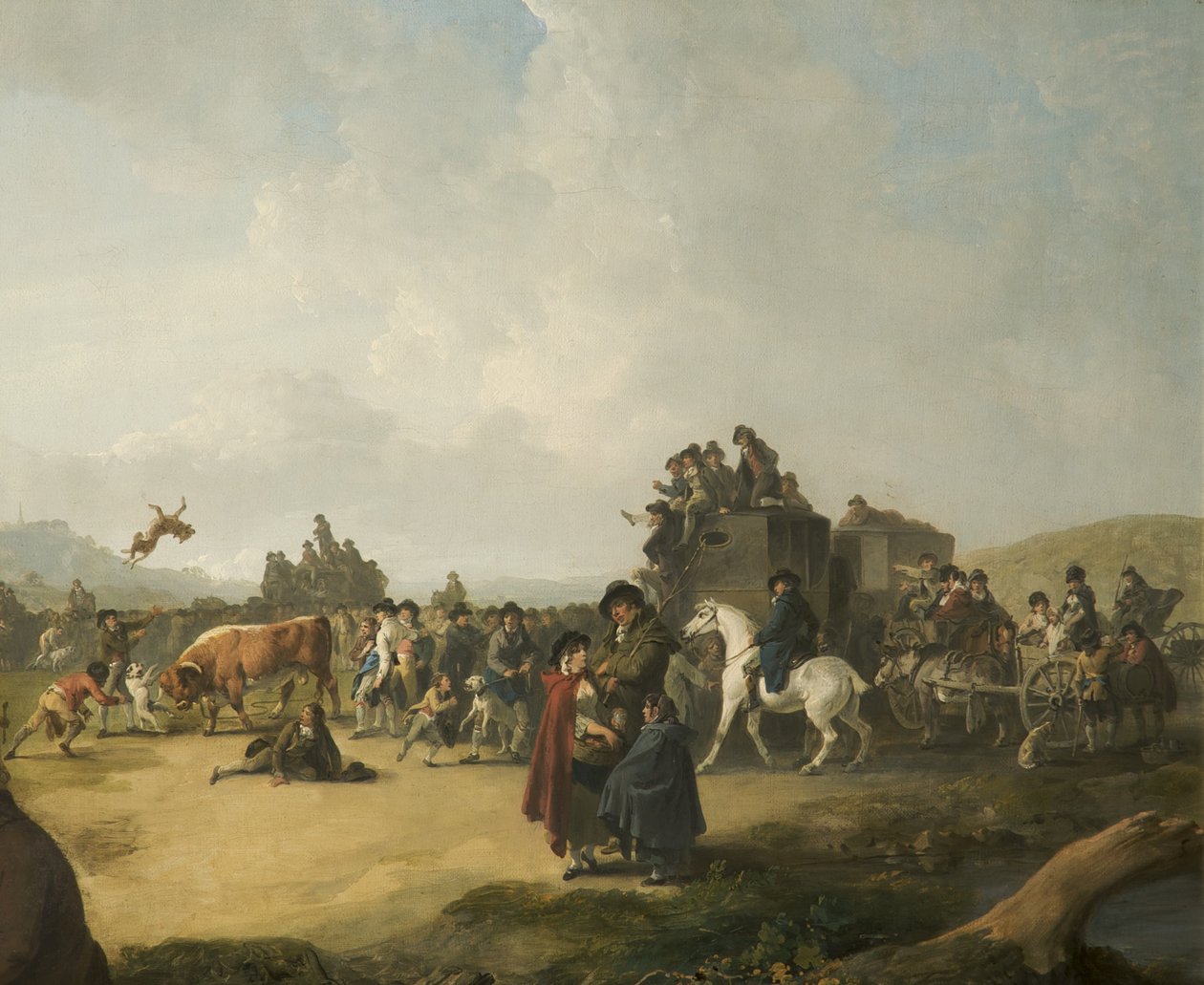 nękanie byków autorstwa Julius Caesar Ibbetson