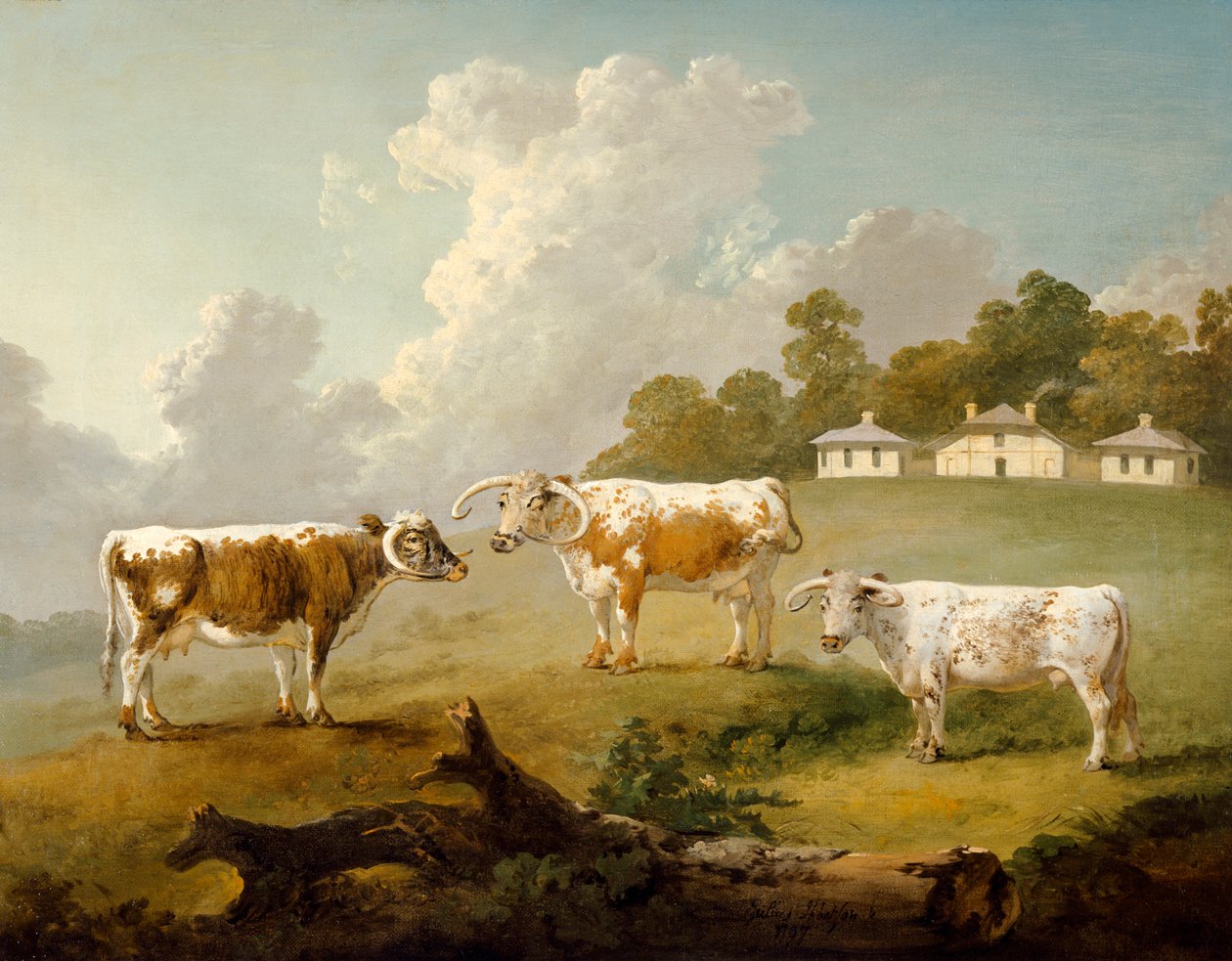 „Trzy długorogie bydło w Kenwood”, 1797 autorstwa Julius Caesar Ibbetson