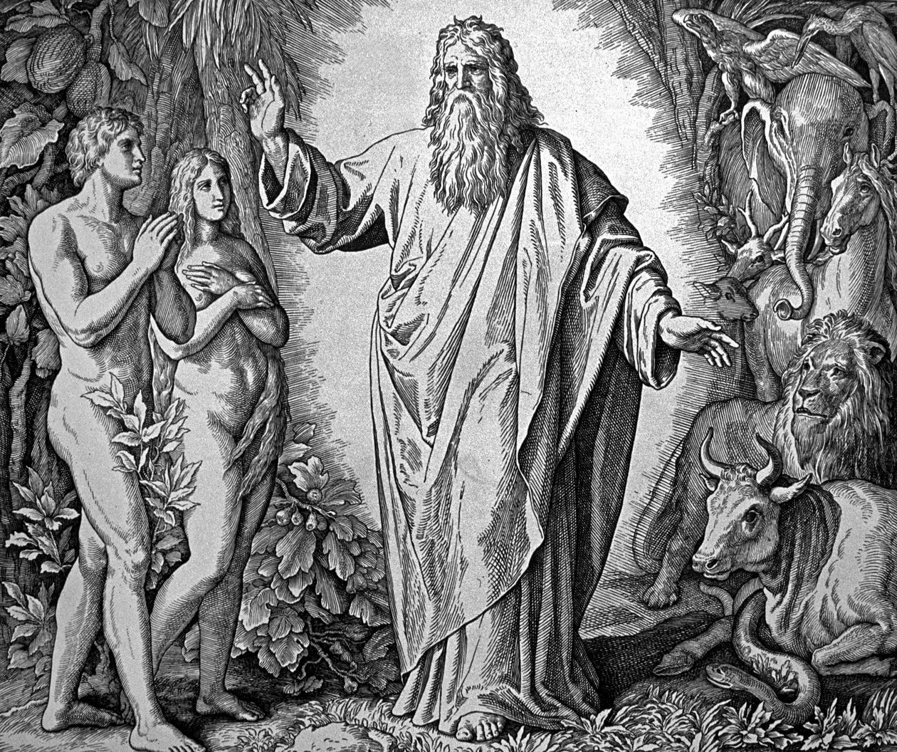 Bóg stwarza Adama i Ewę autorstwa Julius Schnorr von Carolsfeld