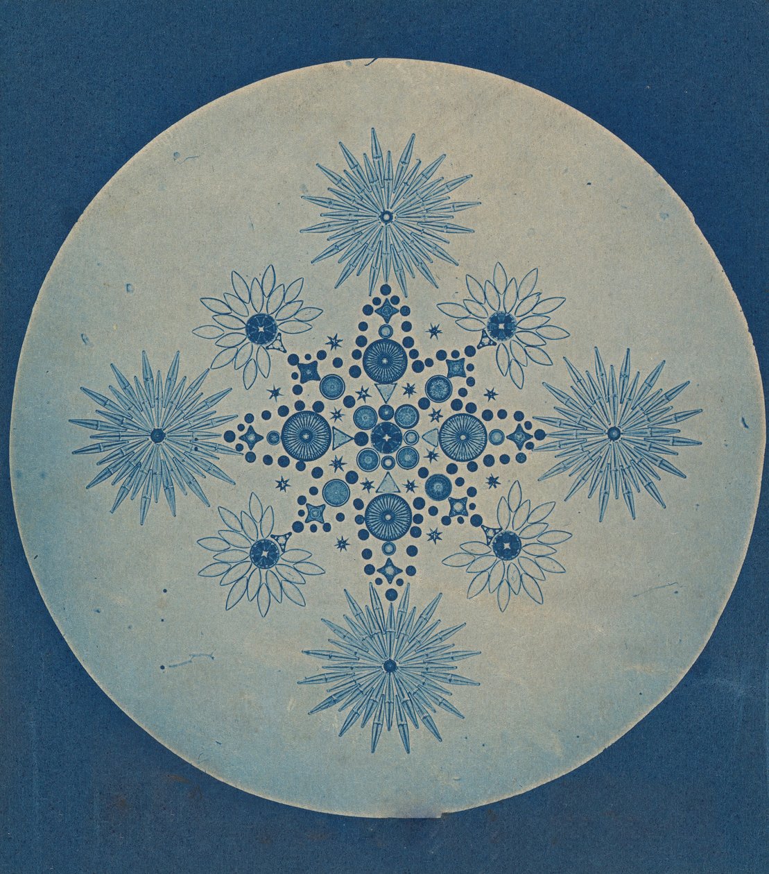 [Okrzemki Okrzemkowe], ok. 201 1870. autorstwa Julius Wiesner.