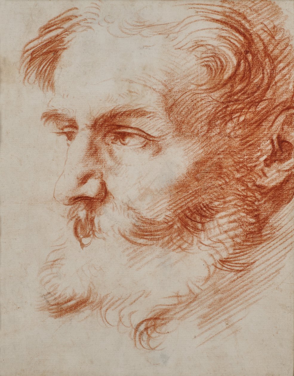 Głowa brodatego mężczyzny autorstwa Jusepe de Ribera