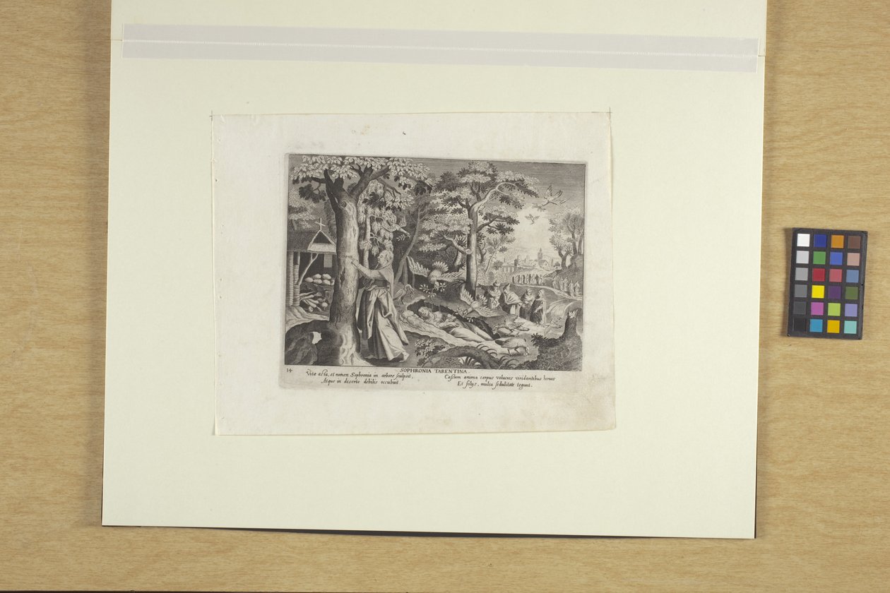 Sophronia Tarentina autorstwa Justus Sadeler