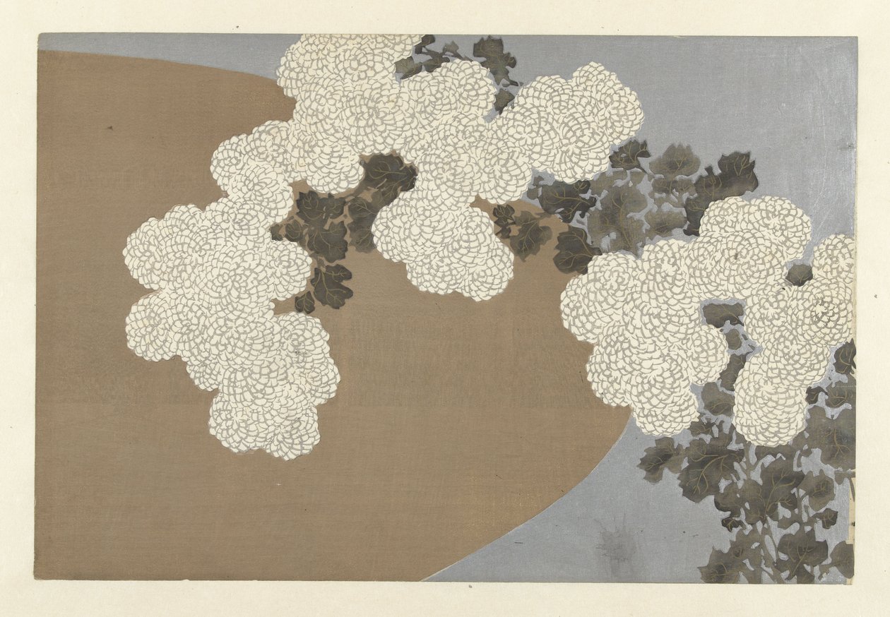 Chryzantemy, 1909 (drewnodruk) autorstwa Kamisaka Sekka