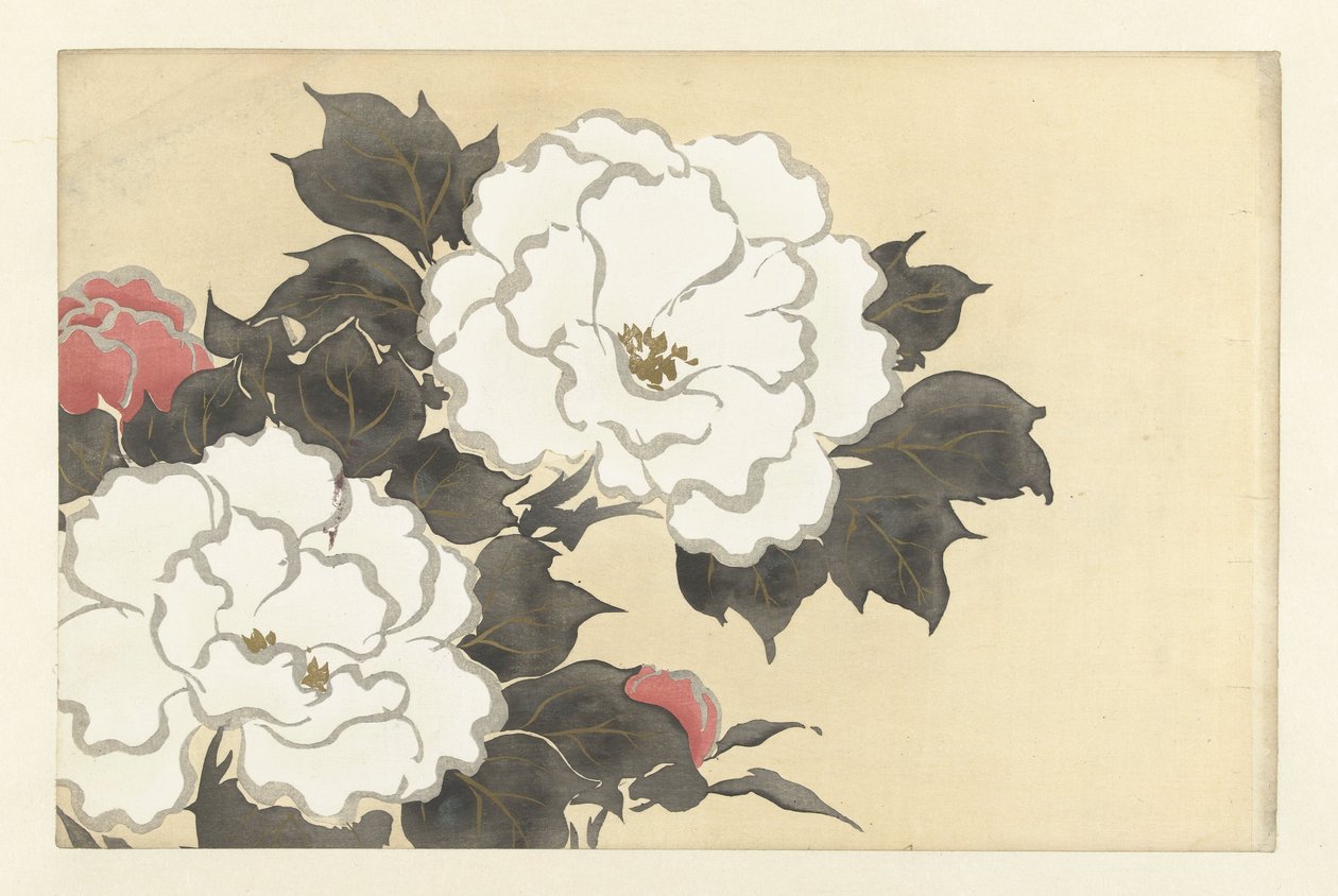 Piwonie, 1909 (odbitka drzeworytowa) autorstwa Kamisaka Sekka