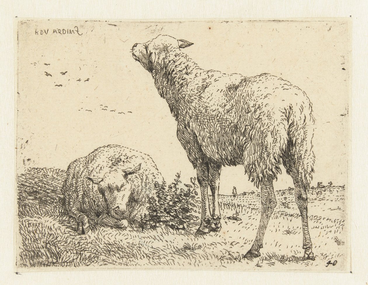 Dwie owce autorstwa Karel Du Jardin