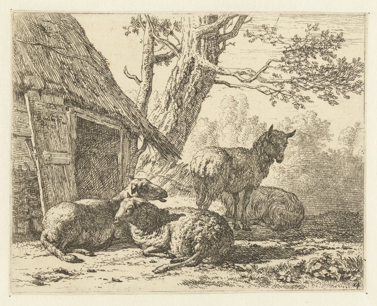 Cztery owce autorstwa Karel Du Jardin