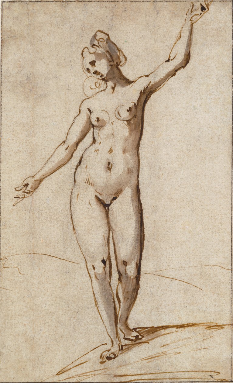 Kobieta nago autorstwa Karel Van Mander