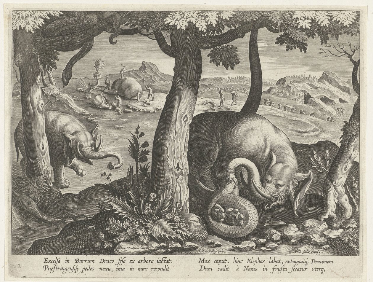 Olifant poznał slang w walce Jachttaferelen (tytuł serii) Polowanie na zwierzynę, ptactwo i ryby w Bestiariuszu (tytuł serii) autorstwa Karel van Mallery (attributed to)