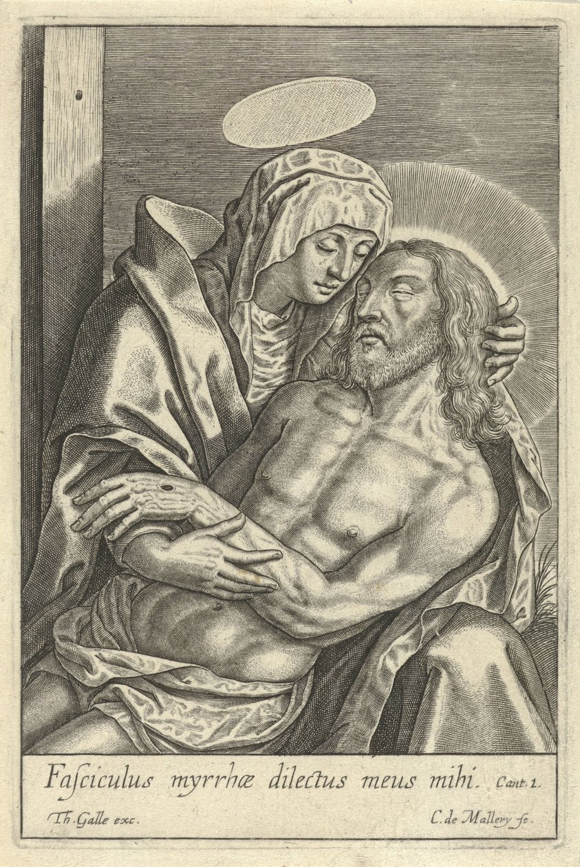 Pieta autorstwa Karel van Mallery