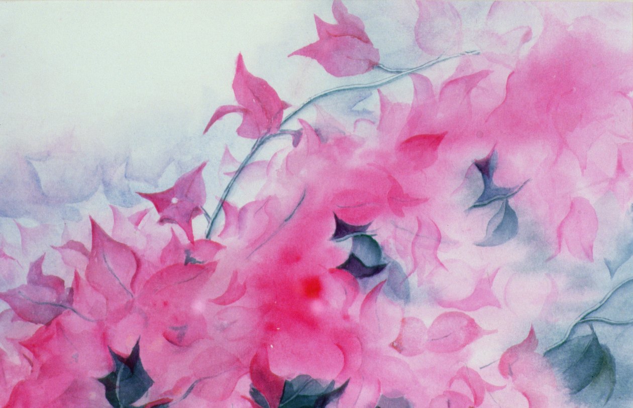 Bougainvillia autorstwa Karen Armitage