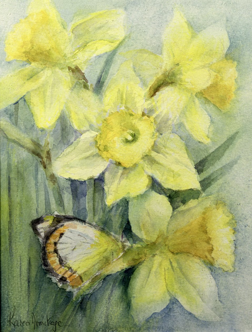 Delias Mysis (Union Jack) Motyl na żonkile autorstwa Karen Armitage