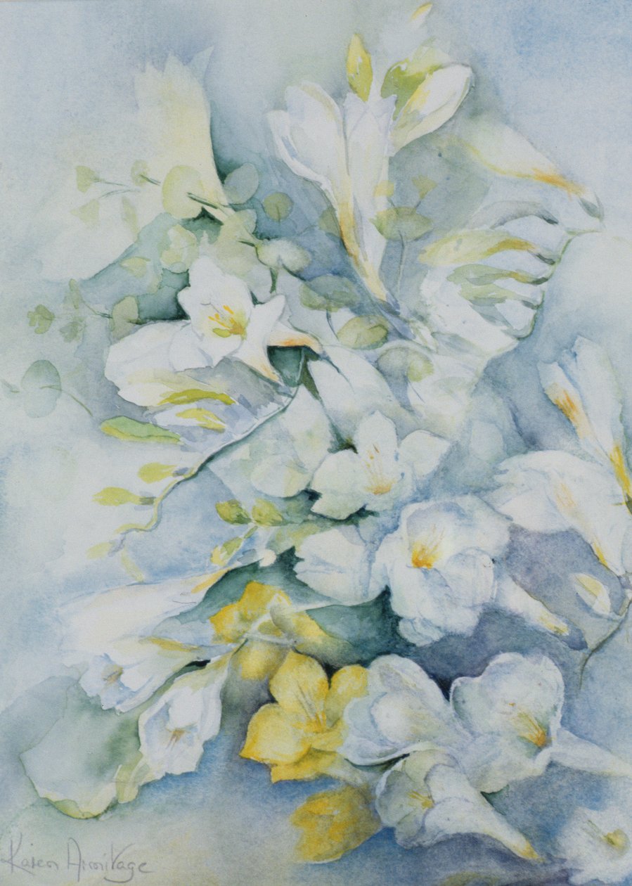 Frezja Eldus, Giant White autorstwa Karen Armitage