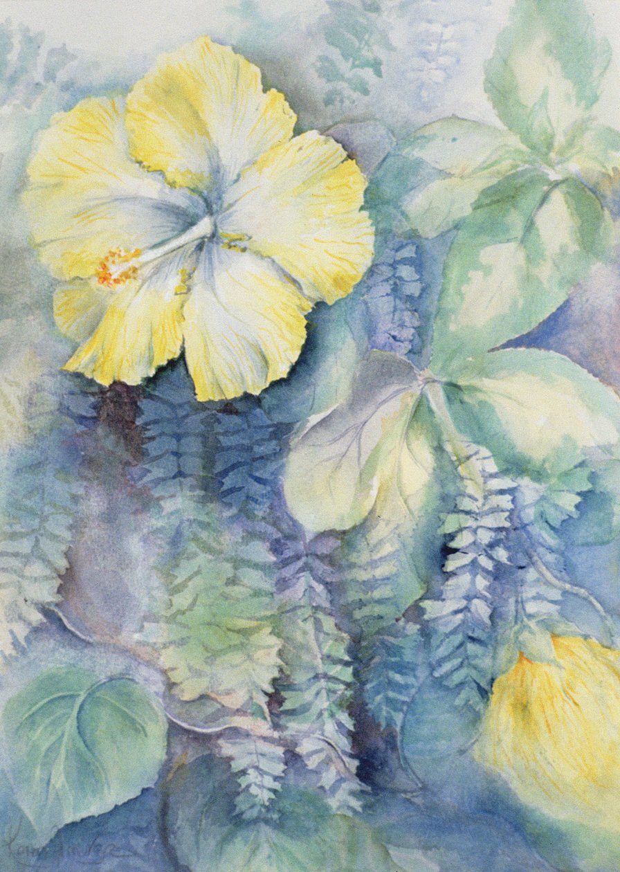 Hibiskus, żółty autorstwa Karen Armitage
