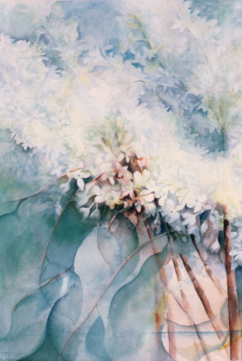 Liliowy, Maud Norcut autorstwa Karen Armitage