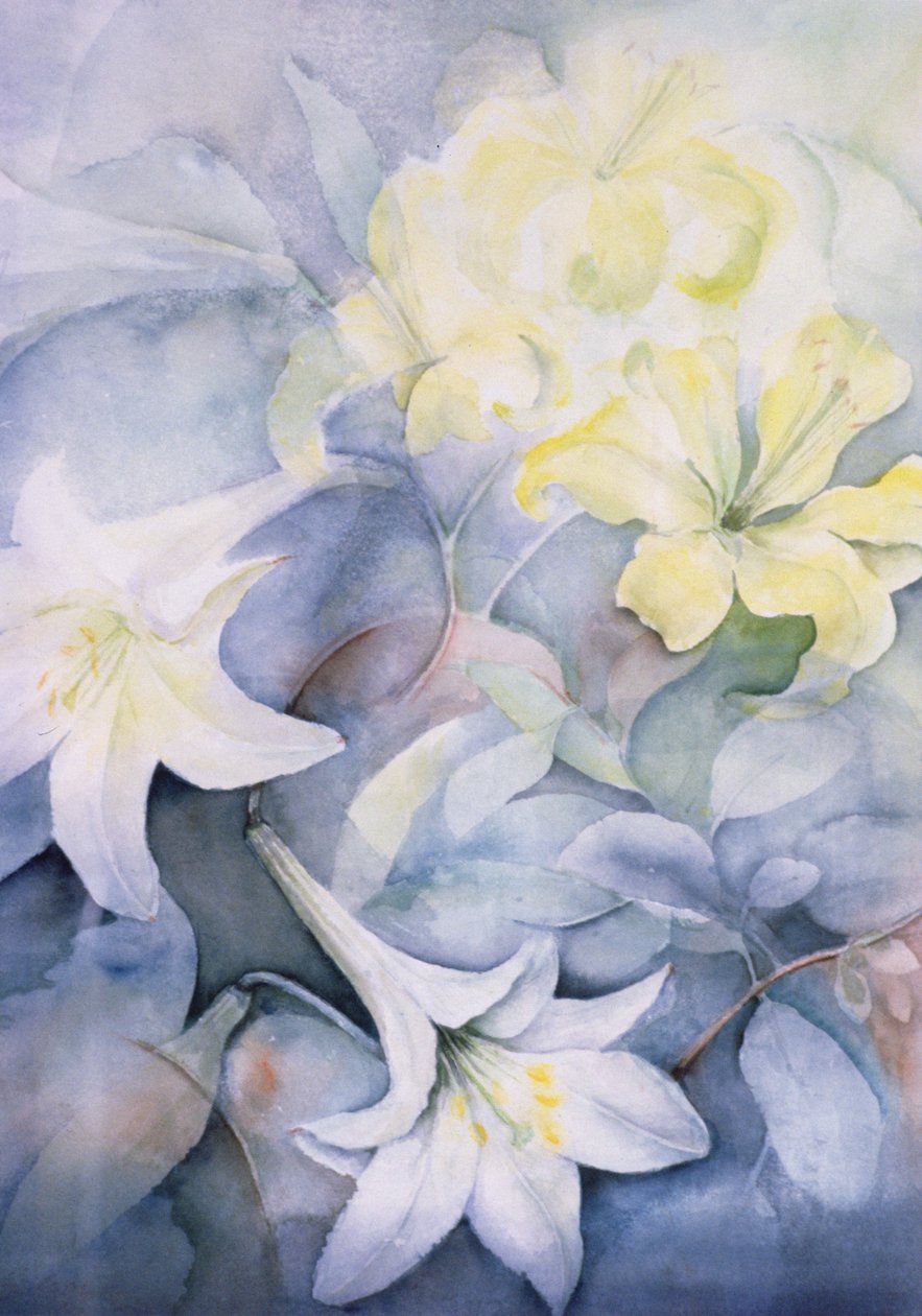 Lilium, Hearts Desire i Imperiale autorstwa Karen Armitage