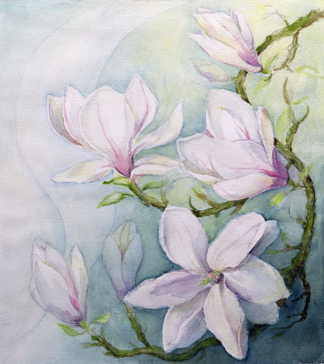 Magnolie (wc) autorstwa Karen Armitage