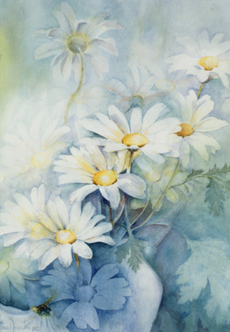 Marguerites, Aleksandria autorstwa Karen Armitage