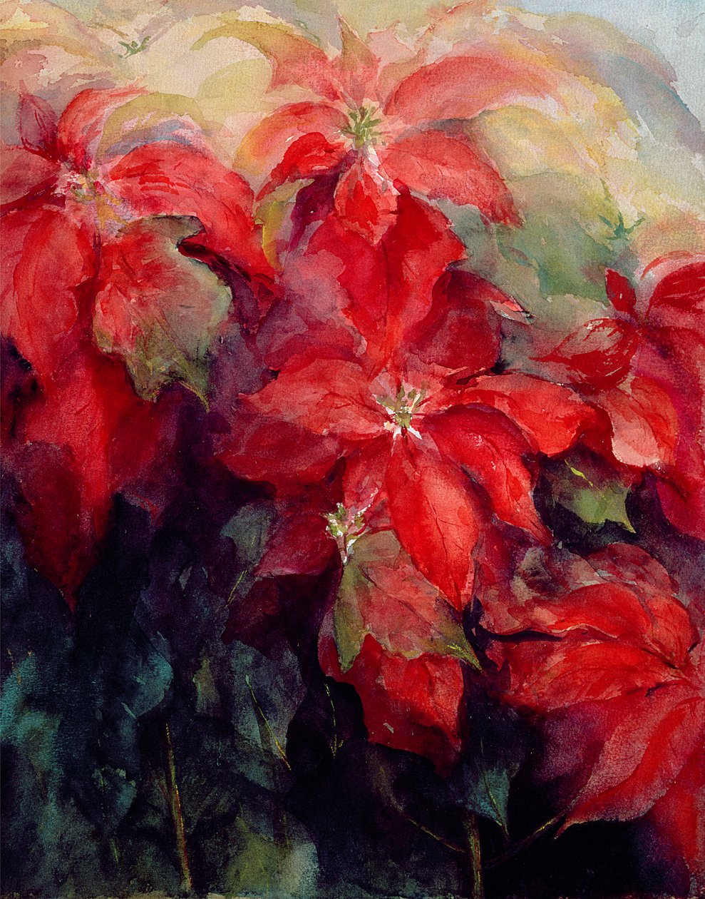 Czerwone Poinsecje autorstwa Karen Armitage