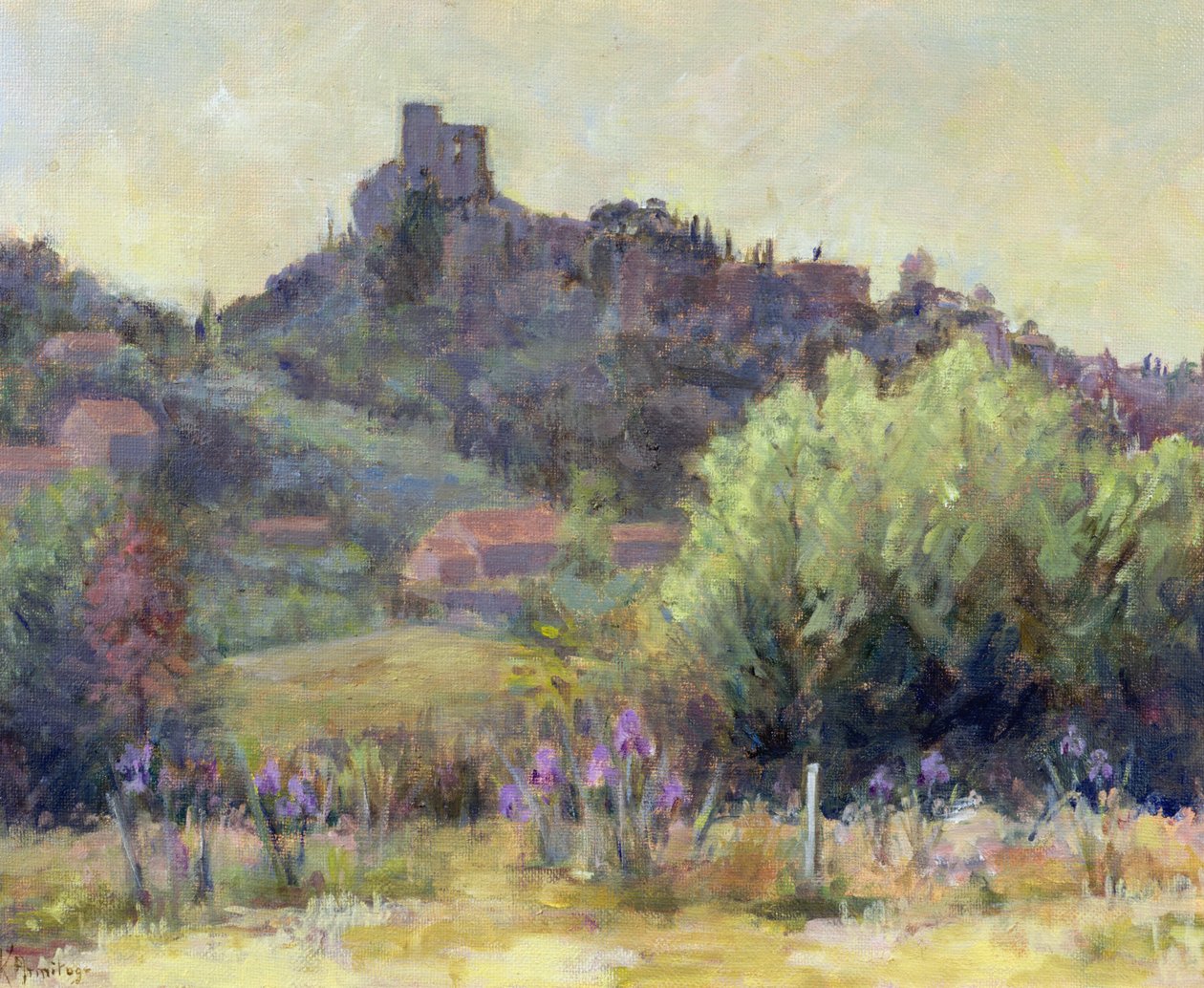 Vaison-La-Romaine, Vaucluse autorstwa Karen Armitage