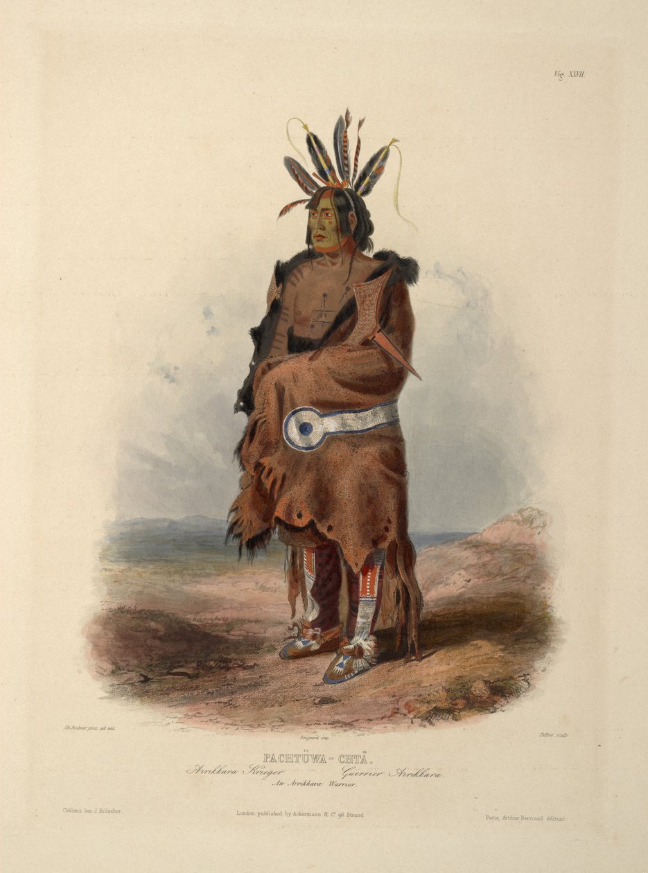 Wojownik Arrikary autorstwa Karl Bodmer