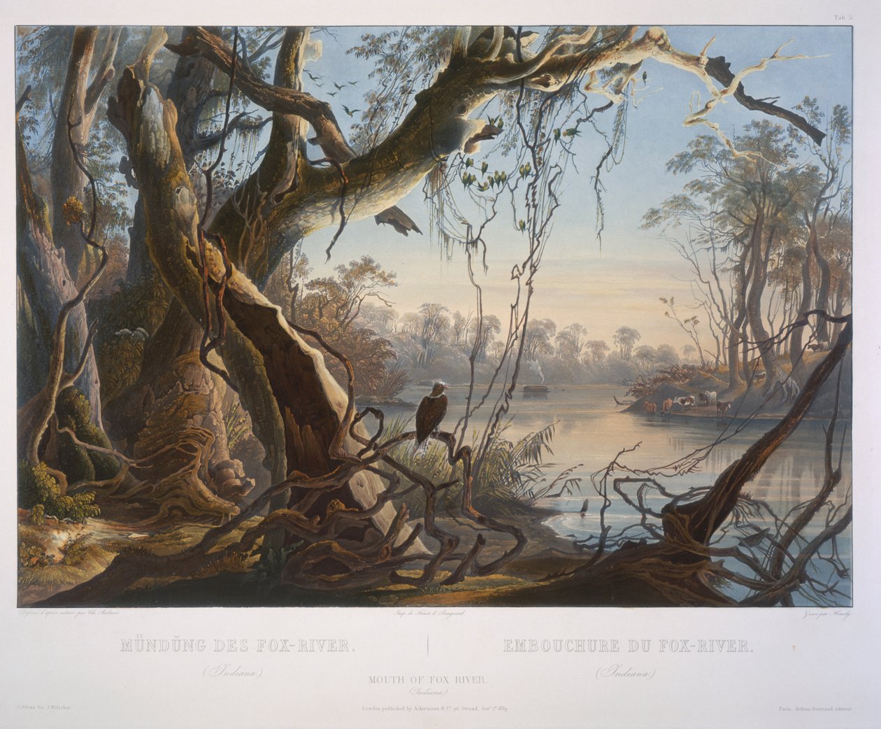 Usta Lisa Rzeki (Indiana) autorstwa Karl Bodmer