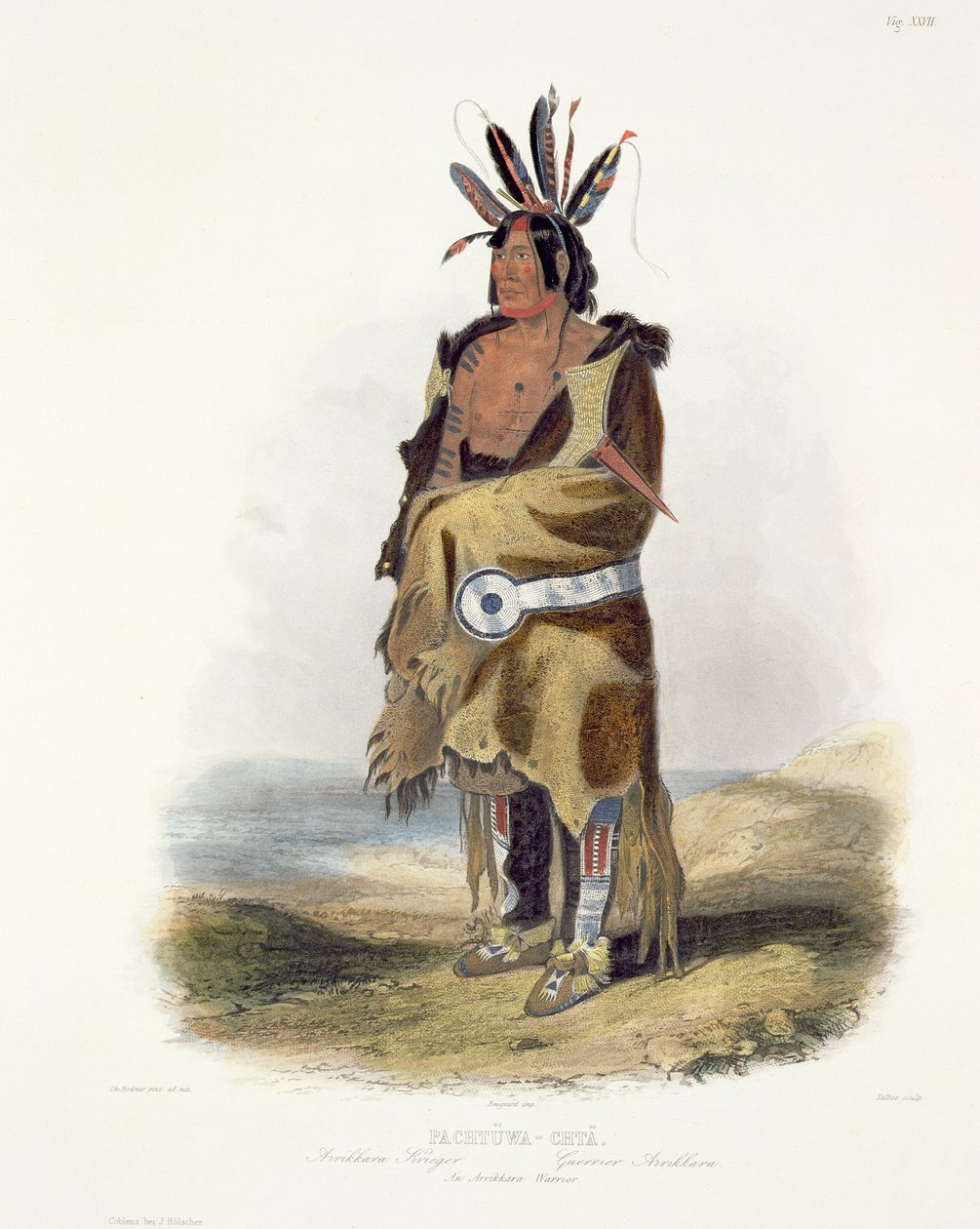 Pachtuwa-Chta, wojownik Arrikkara, tablica 27 z tomu 1 „Podróże we wnętrzu Ameryki Północnej”, sztychowana przez Talbota, 1843 (akwatinta) autorstwa Karl Bodmer