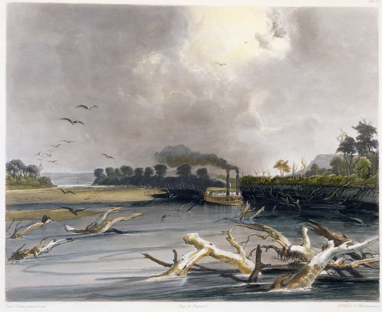 Snags (zatopione drzewa) na Missouri, tablica 6 z tomu 2 „Podróże we wnętrzu Ameryki Północnej”, rytowane przez Lucasa Webera i J. Hurlimanna, 1844 (akwatinta) autorstwa Karl Bodmer