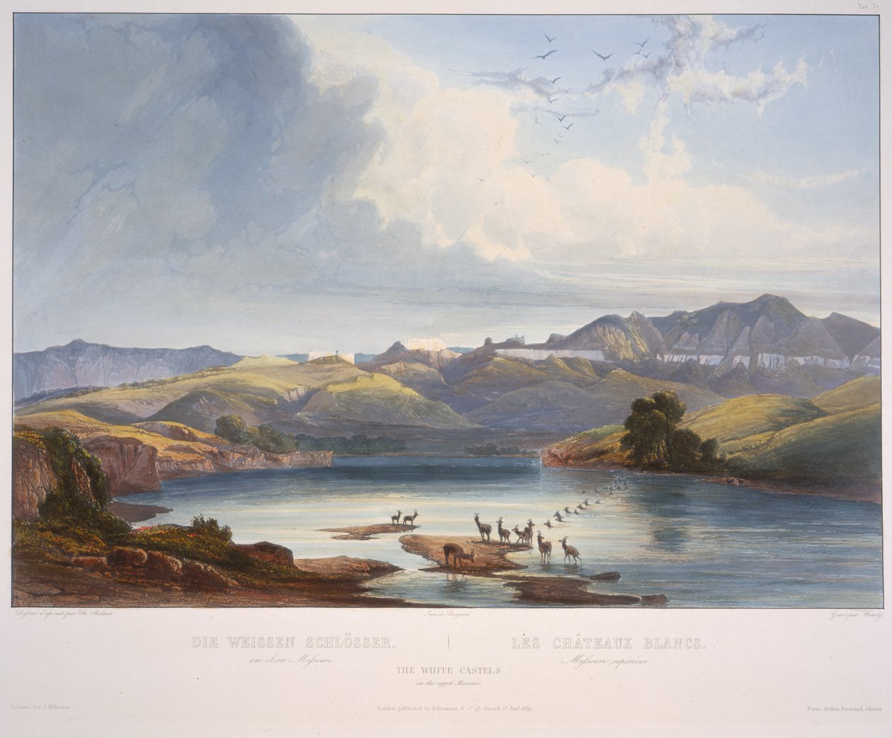 Białe zamki w górnym Missouri autorstwa Karl Bodmer