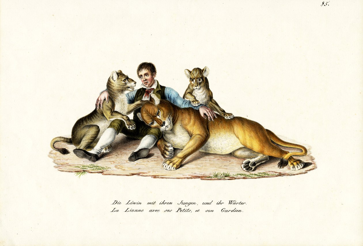 Lwica z młodymi, 1824 autorstwa Karl Joseph Brodtmann