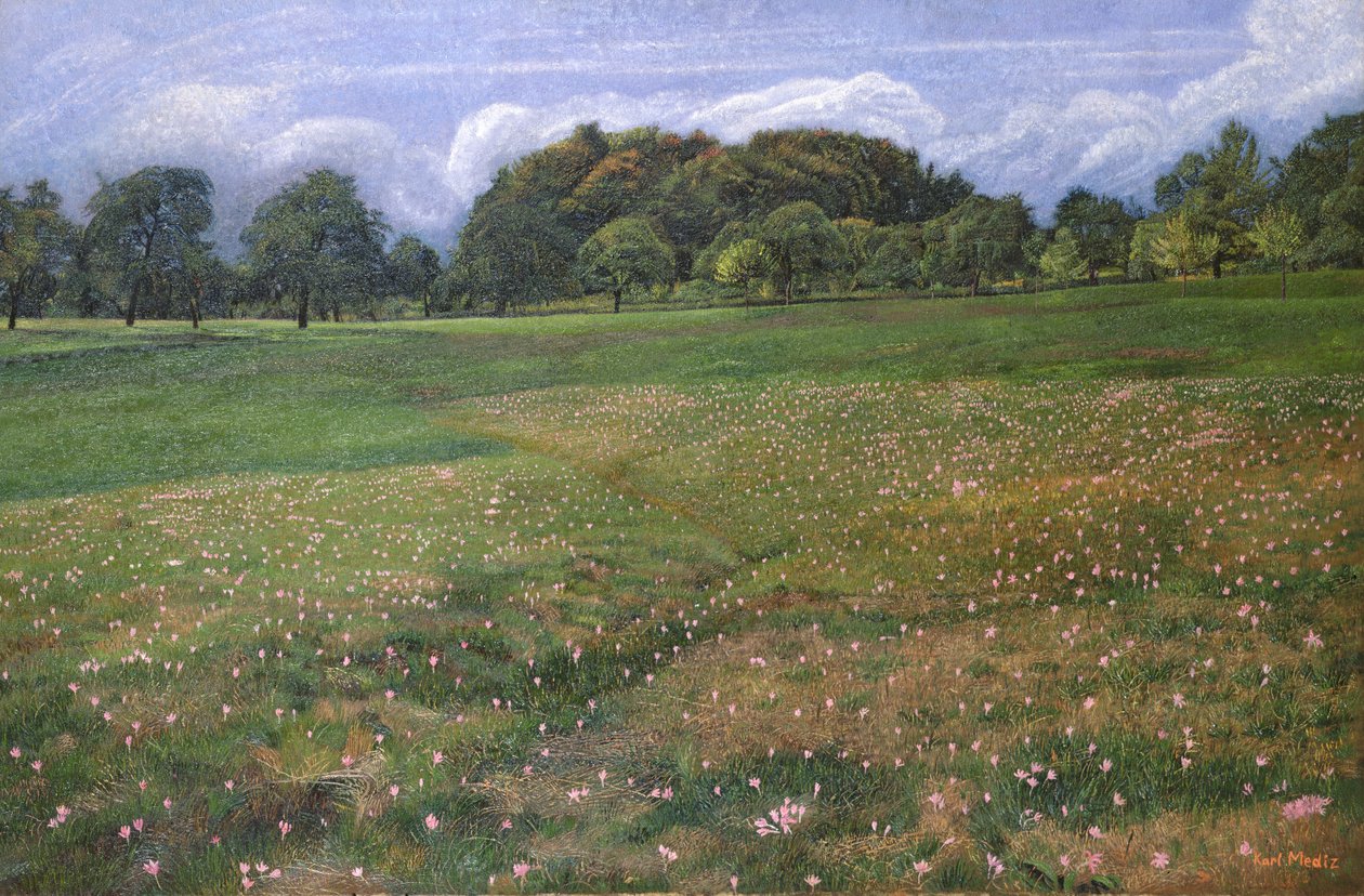 Pole jesiennych krokusów, 1908 autorstwa Karl Mediz