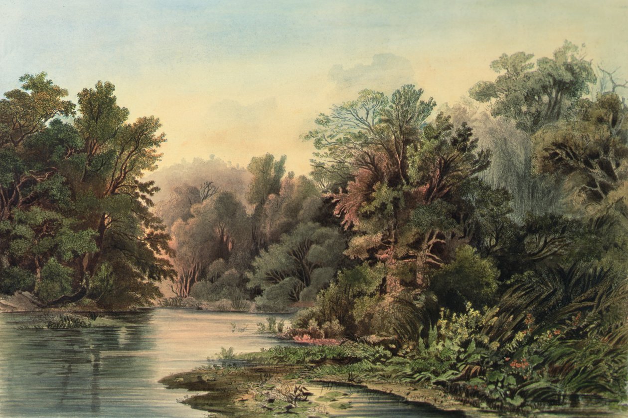 Scena leśna na Lehigh, Pensylwania, płyta 1 z tomu 2 `Podróży w głąb Ameryki Północnej autorstwa Karl (after) Bodmer