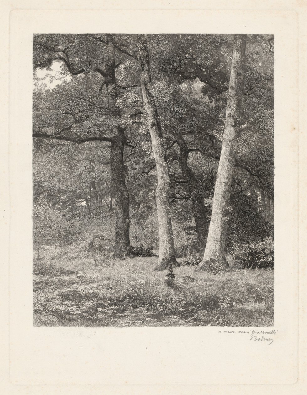 Leśna polana autorstwa Karl Bodmer