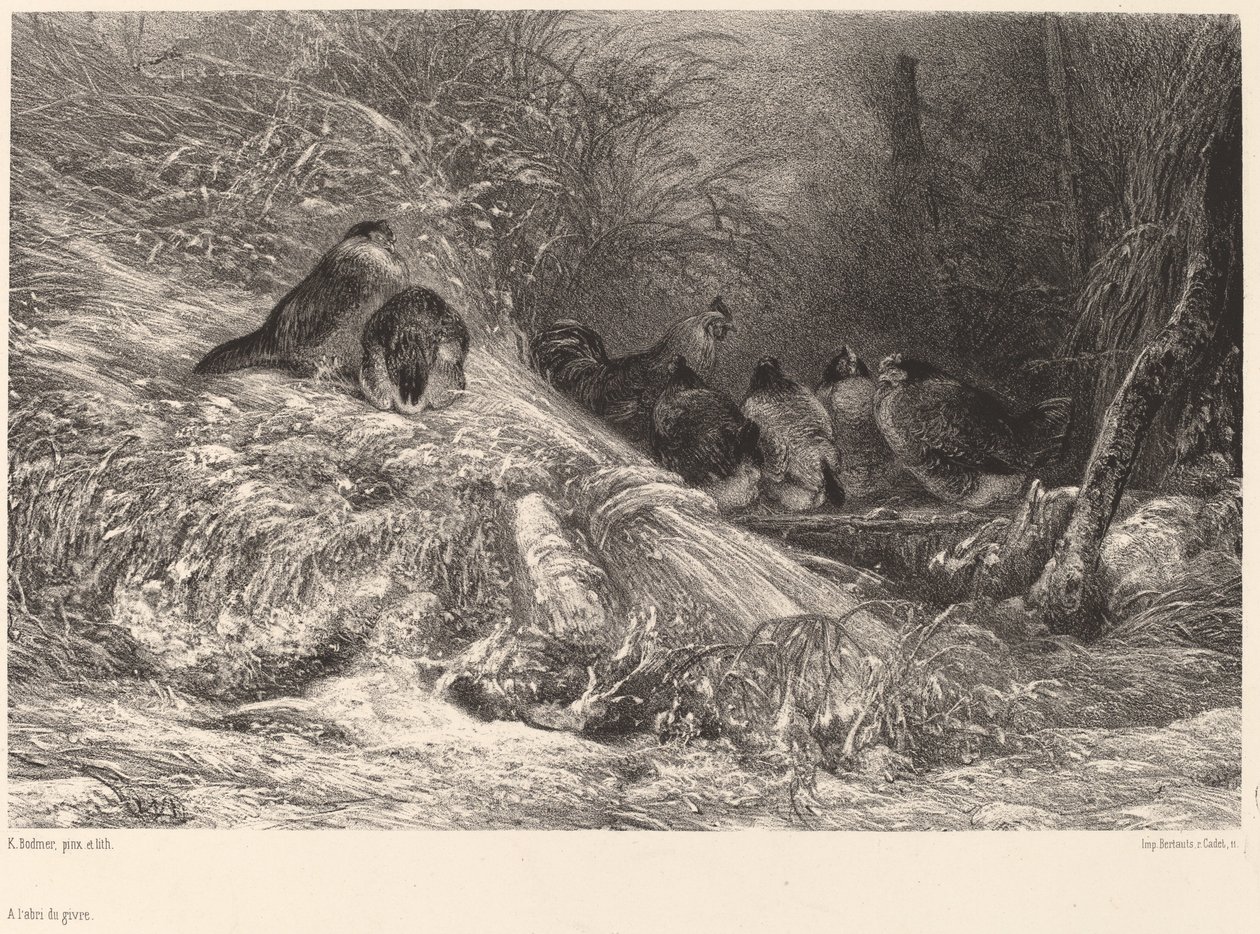 Schronienie przed mrozem autorstwa Karl Bodmer